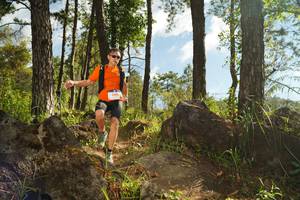 BIB: 
                            <button type="button" onclick="openModal(18915412)" class="btn btn-primary btn-sm float-right btn-popup" data-toggle="modal" data-target=".modal-high-quality">
                        <i class="fas fa-shopping-cart"></i> Add to Cart
                    </button>
                                            <button type="button" onclick="isThisMe(18915412, true)" class="btn btn-success btn-sm float-right btn-popup btn-isme hidden" data-toggle="tooltip" data-placement="bottom" title="นี่คือรูปของคุณใช่ไหม คลิกที่นี่เพื่อเอาเข้าอัลบั้ม">
                        <i class="fas fa-plus"></i> Add to album
                    </button>
                    <button type="button" onclick="isThisMe(18915412, false)" class="btn btn-warning btn-sm float-right btn-popup btn-isnotme hidden">
                        <i class="fas fa-ban"></i> Remove from album
                    </button>